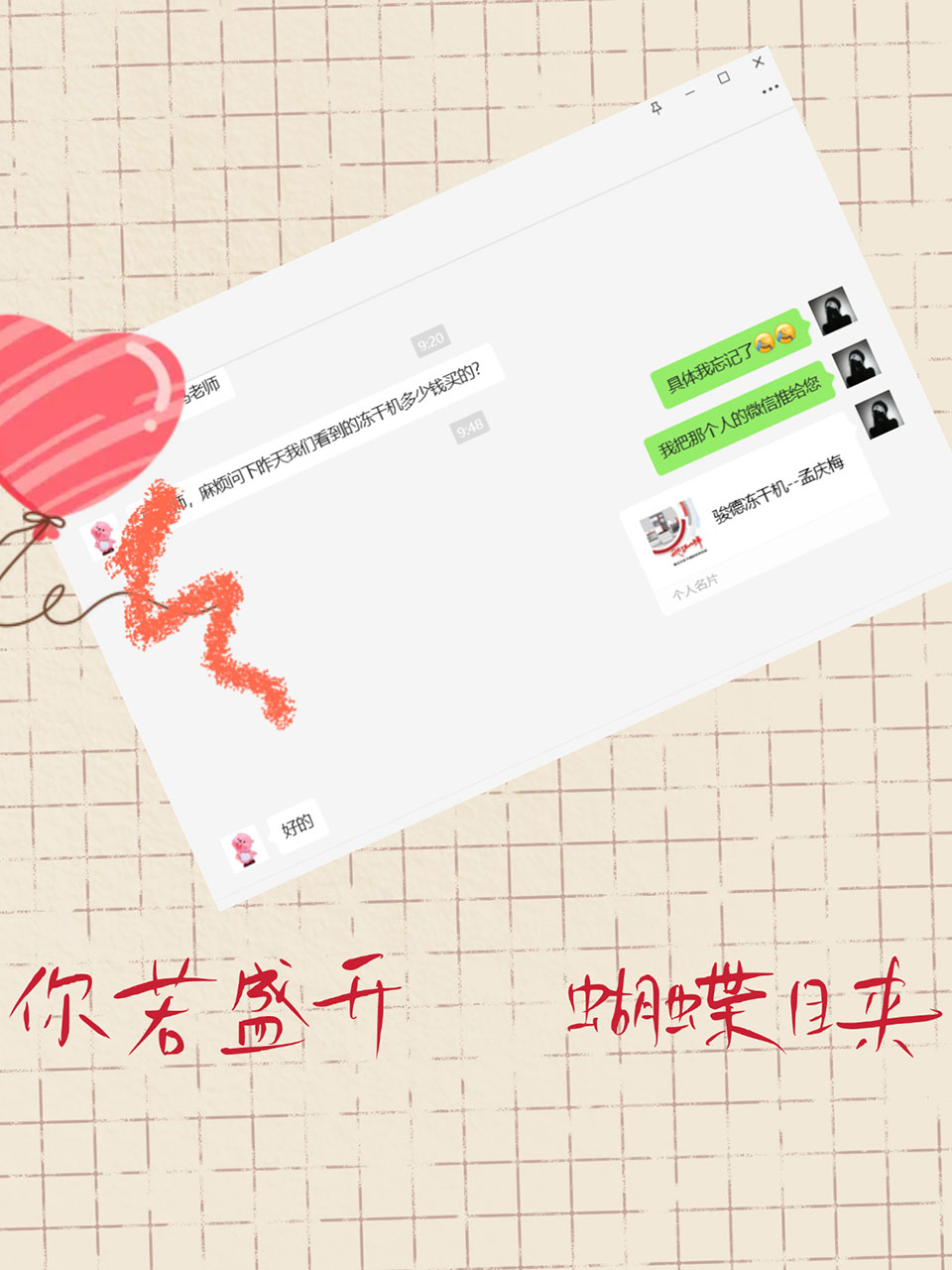 你若盛开 蝴蝶自来之骏德冻干