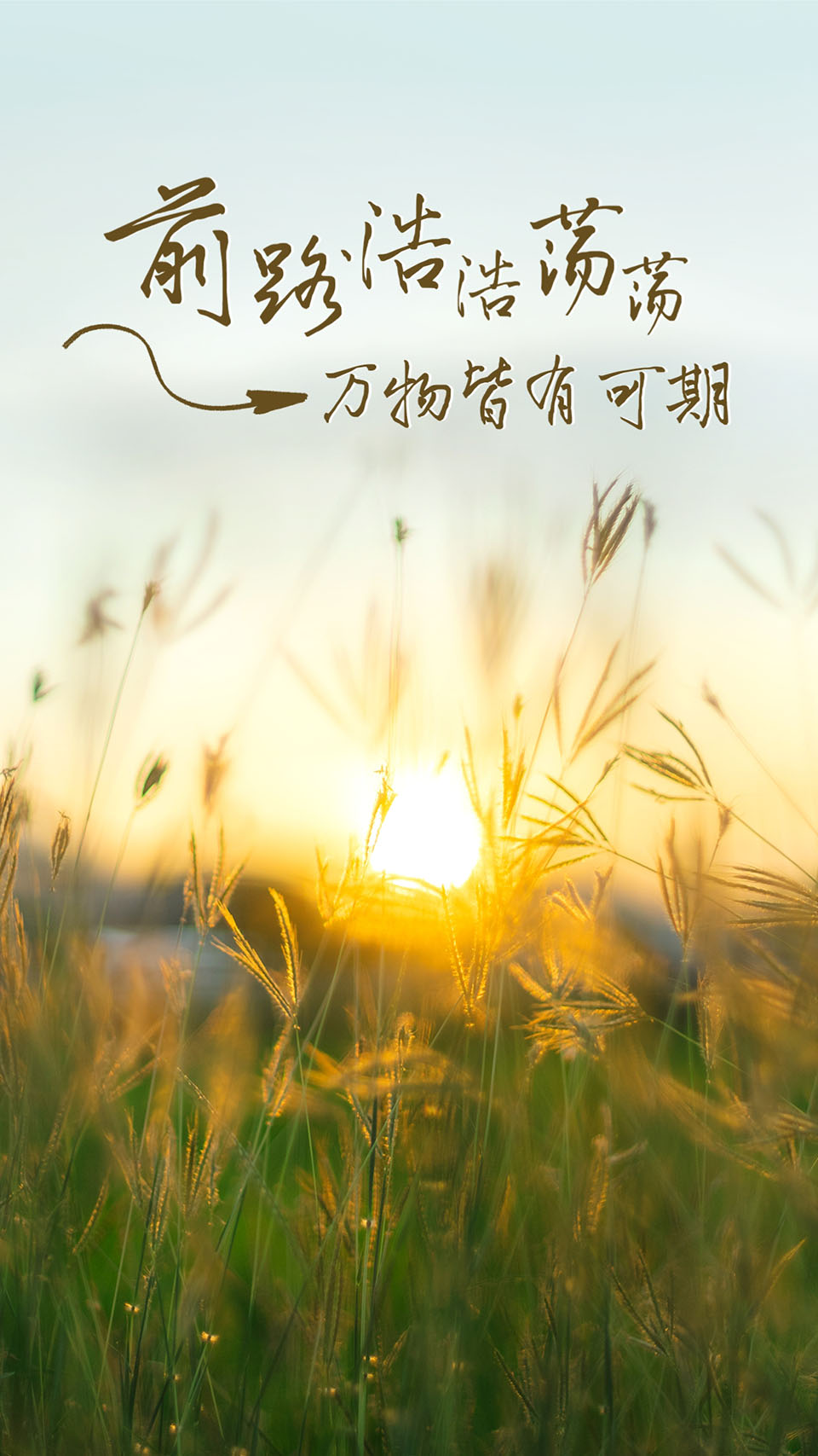 前路浩浩荡荡，万物皆可期待
